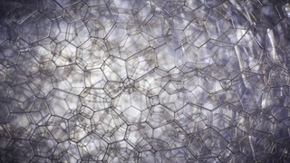 Illustration for article titled Super close up images of common objects are beautifully alien